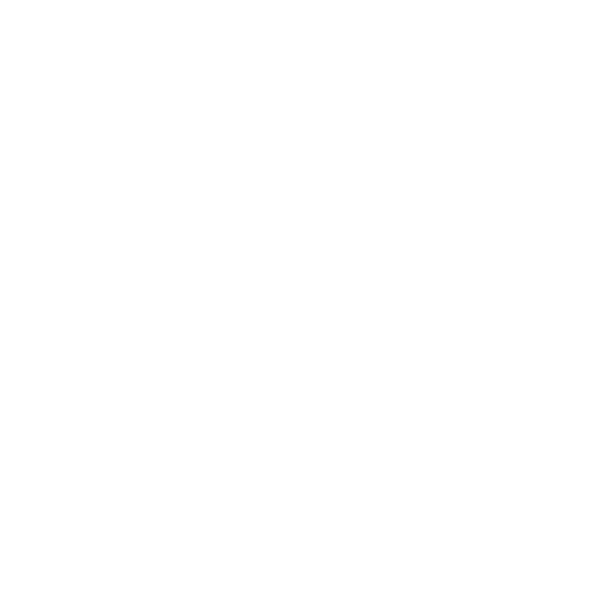 feature-item-1